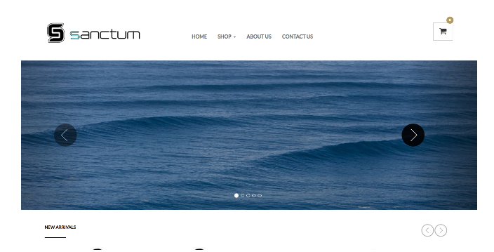 Sanctum Surf's Website Example